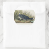 Audubon American Coot from Birds America Runder Aufkleber (Tasche)