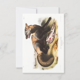 Audubon American Cross-Fox Portrait Einladung