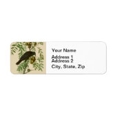Audubon American Crow Black Bird (Vorne)