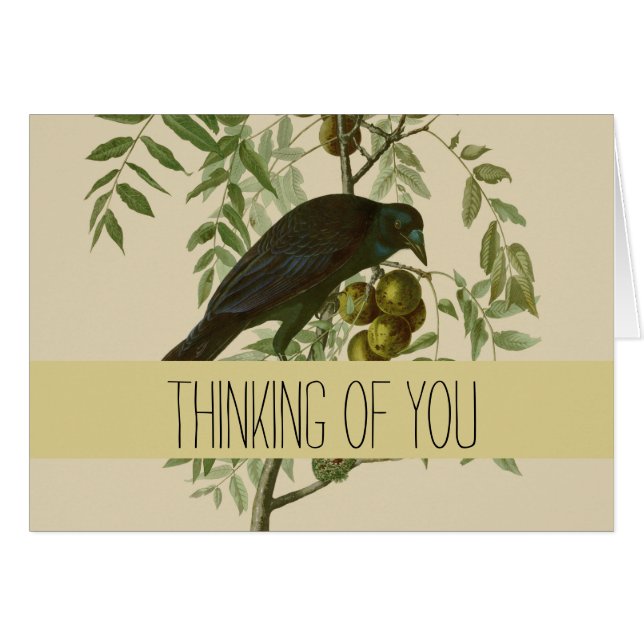 Audubon American Crow Black Bird (Vorderseite (Horizontal))