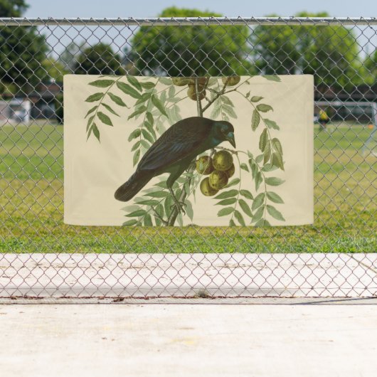 Audubon American Crow Black Bird Banner (Insitu)