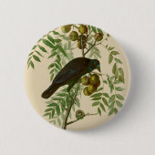 Audubon American Crow Black Bird Button (Vorderseite)