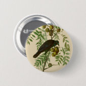Audubon American Crow Black Bird Button (Vorne & Hinten)