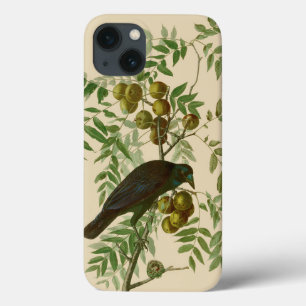 Audubon American Crow Black Bird Case-Mate iPhone Hülle