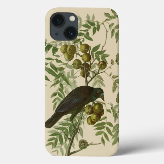 Audubon American Crow Black Bird Case-Mate iPhone Hülle (Rückseite)