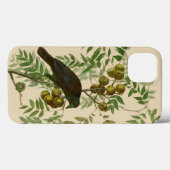 Audubon American Crow Black Bird Case-Mate iPhone Hülle (Rückseite (Horizontal))