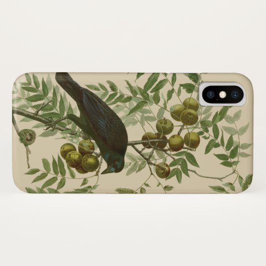 Audubon American Crow Black Bird Case-Mate iPhone Hülle (Rückseite (Horizontal))