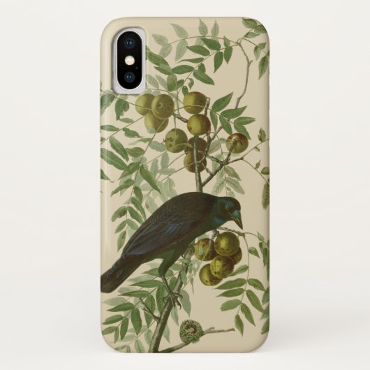 Audubon American Crow Black Bird Case-Mate iPhone Hülle (Rückseite)