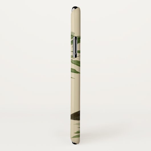 Audubon American Crow Black Bird Case-Mate iPhone Hülle (Hinten/Rechts)