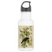Audubon American Crow Black Bird Edelstahlflasche (Vorderseite)