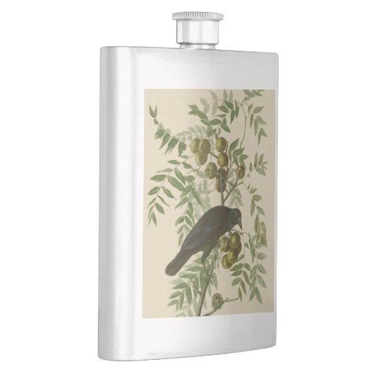 Audubon American Crow Black Bird Flachmann (Rechts)