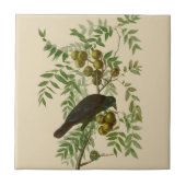 Audubon American Crow Black Bird Fliese (Vorderseite)