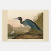 Audubon American Crow Black Bird Geschenkpapier Set (Vorderseite 3)