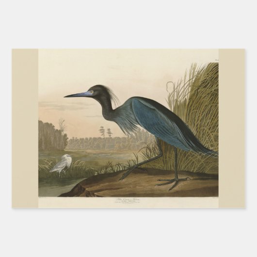 Audubon American Crow Black Bird Geschenkpapier Set (Vorderseite 3)