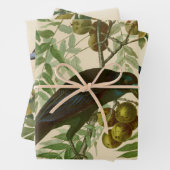 Audubon American Crow Black Bird Geschenkpapier Set (Beispiel)