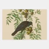 Audubon American Crow Black Bird Geschenkpapier Set (Vorderseite)