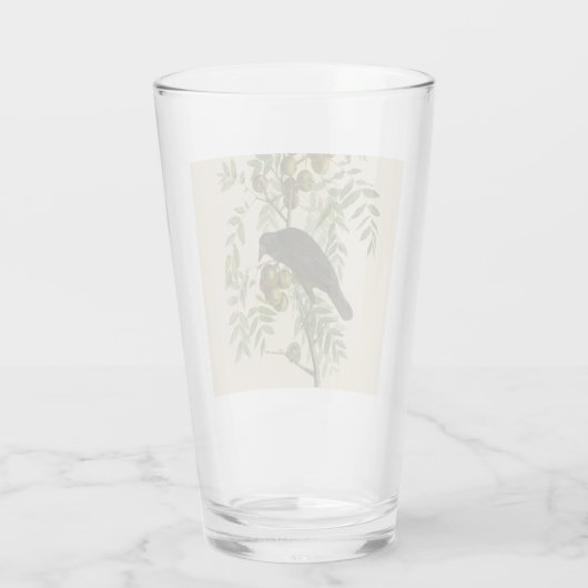 Audubon American Crow Black Bird Glas (Rückseite)