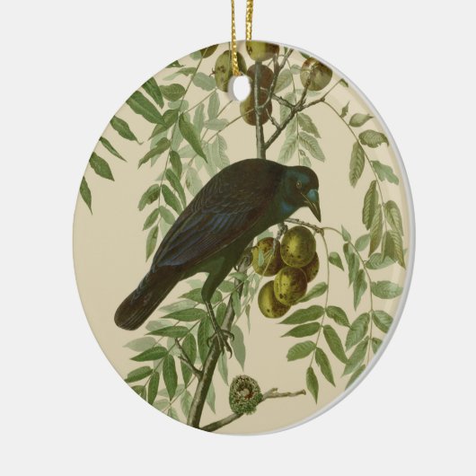 Audubon American Crow Black Bird Keramik Ornament (Links)
