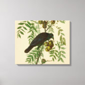 Audubon American Crow Black Bird Leinwanddruck (Vorderseite)