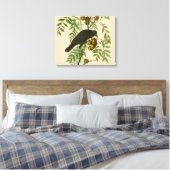 Audubon American Crow Black Bird Leinwanddruck (Insitu (Schlafzimmer))