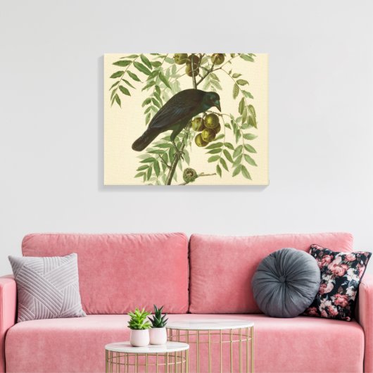 Audubon American Crow Black Bird Leinwanddruck (Insitu (Wohnzimmer))