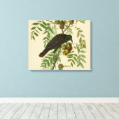 Audubon American Crow Black Bird Leinwanddruck (Insitu (Holzboden))