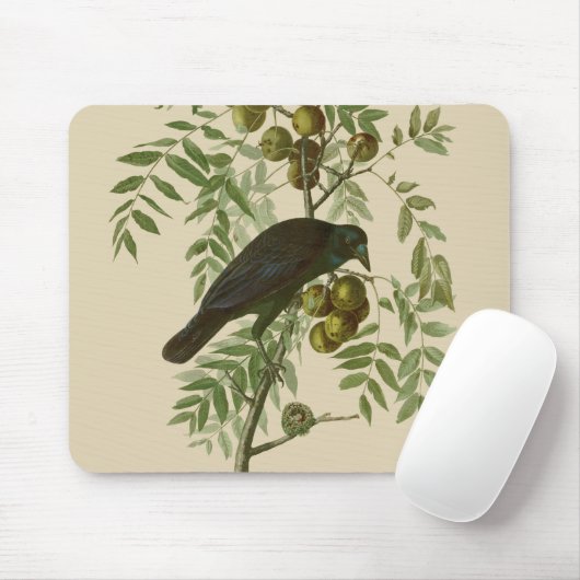 Audubon American Crow Black Bird Mousepad (Mit Mouse)