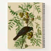 Audubon American Crow Black Bird Notizblock (Rückseite)