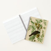Audubon American Crow Black Bird Notizblock (Innenseite)