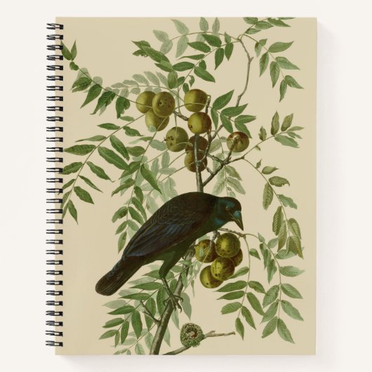 Audubon American Crow Black Bird Notizblock (Vorderseite)