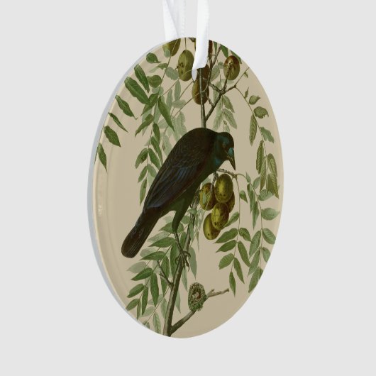 Audubon American Crow Black Bird Ornament (Vorderseite)
