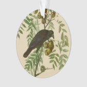 Audubon American Crow Black Bird Ornament (Vorderseite)