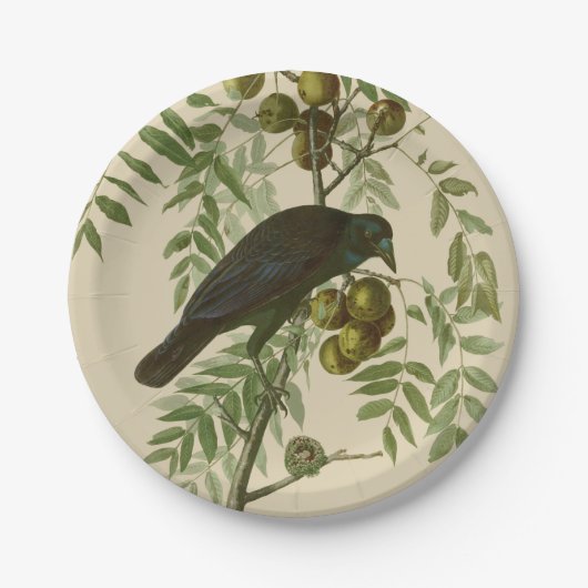 Audubon American Crow Black Bird Pappteller (Vorderseite)