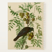 Audubon American Crow Black Bird Planer (Rückseite)