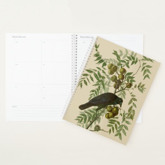 Audubon American Crow Black Bird Planer (Anzeige)