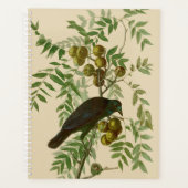 Audubon American Crow Black Bird Planer (Vorderseite)