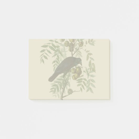 Audubon American Crow Black Bird Post-it Klebezettel (Vorderseite)