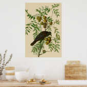 Audubon American Crow Black Bird Poster (Küche)