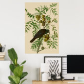 Audubon American Crow Black Bird Poster (Heimbüro)
