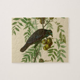 Audubon American Crow Black Bird Puzzle