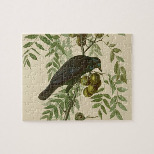 Audubon American Crow Black Bird Puzzle (Horizontal)