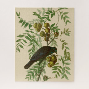 Audubon American Crow Black Bird Puzzle