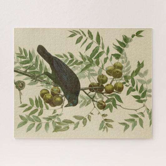 Audubon American Crow Black Bird Puzzle (Horizontal)