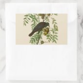 Audubon American Crow Black Bird Rechteckiger Aufkleber (Tasche)
