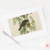 Audubon American Crow Black Bird Rechteckiger Aufkleber (Umschlag)