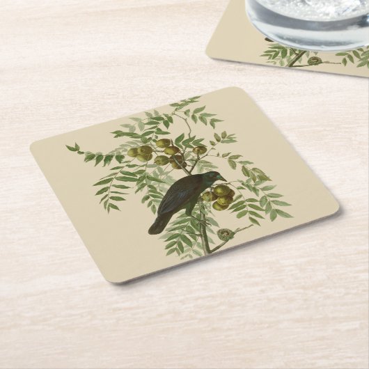 Audubon American Crow Black Bird Rechteckiger Pappuntersetzer (angewinkelt)