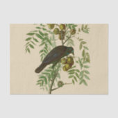 Audubon American Crow Black Bird Seidenpapier (Vorderseite)