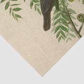 Audubon American Crow Black Bird Seidenpapier (Ausschnitt)