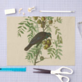 Audubon American Crow Black Bird Seidenpapier (Handwerk)