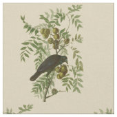 Audubon American Crow Black Bird Stoff (Nahaufnahme)